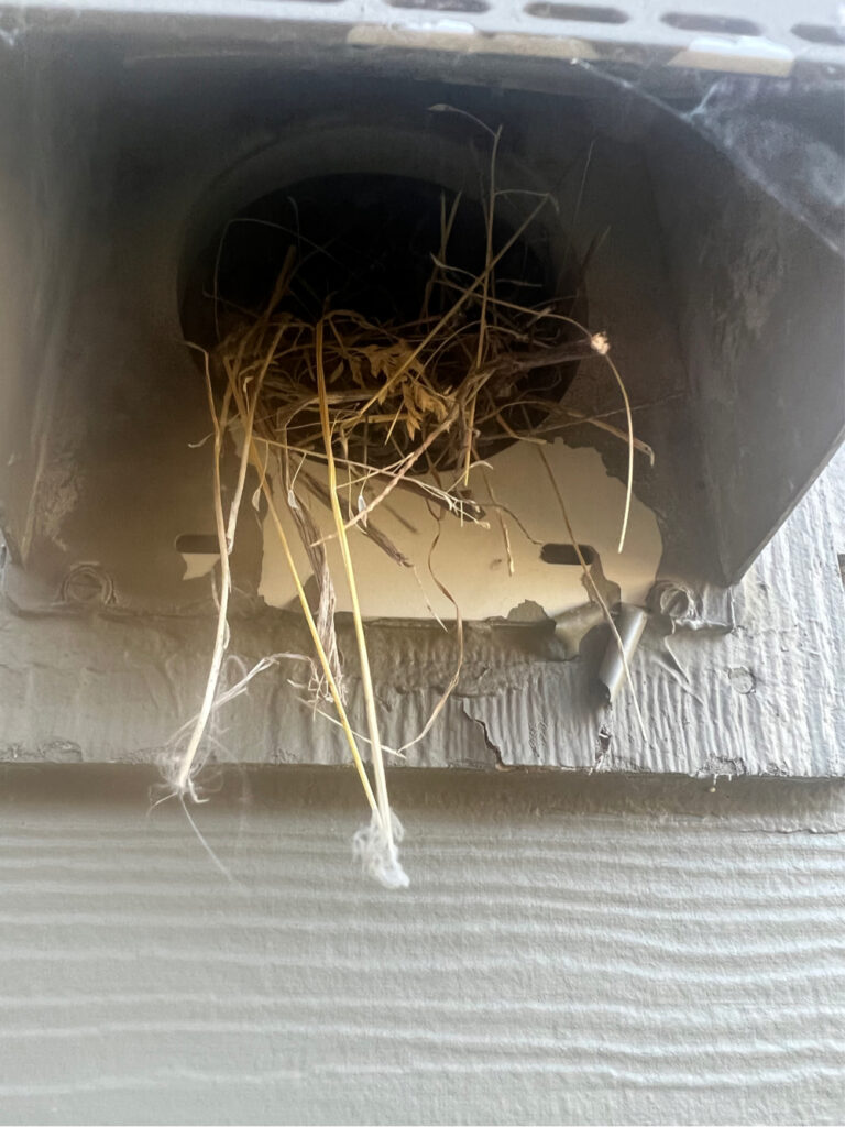 Dryer vent cleaning before White Bear Lake, Mn 9-16-24