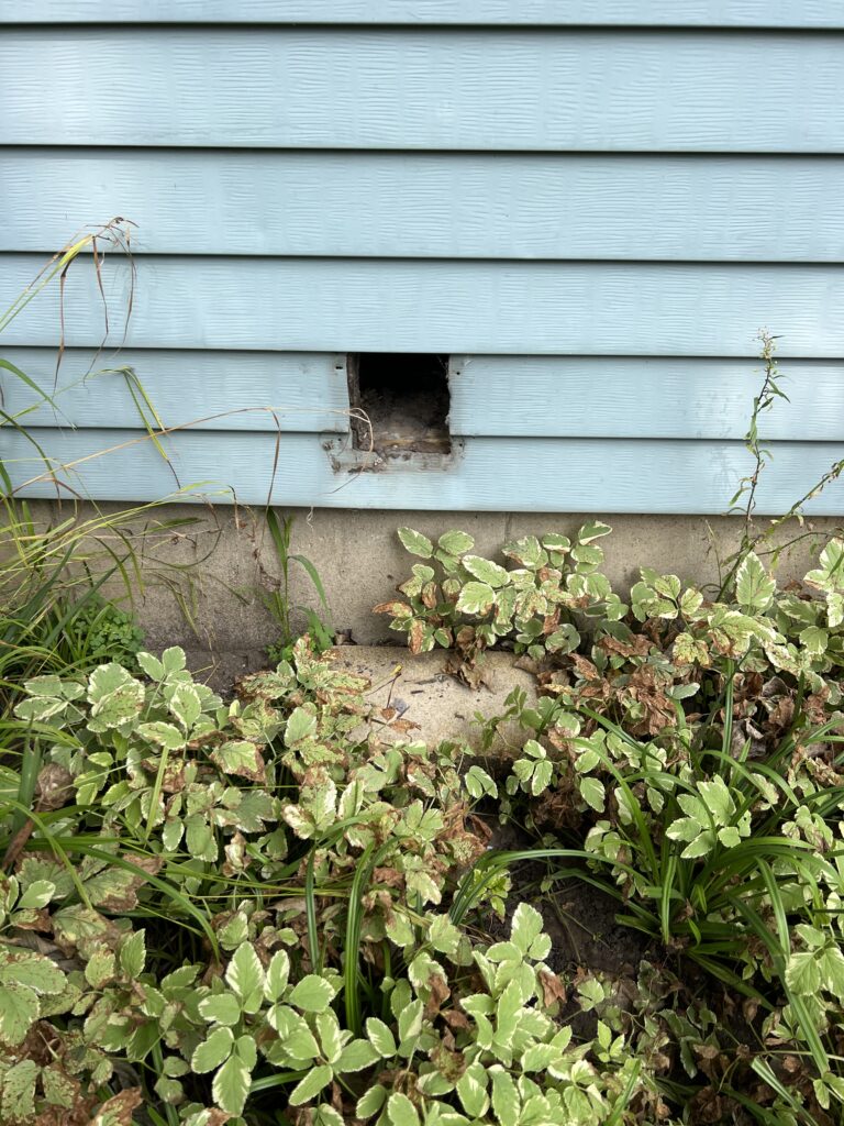 Dryer vent repair before White Bear Lake 8-23-24