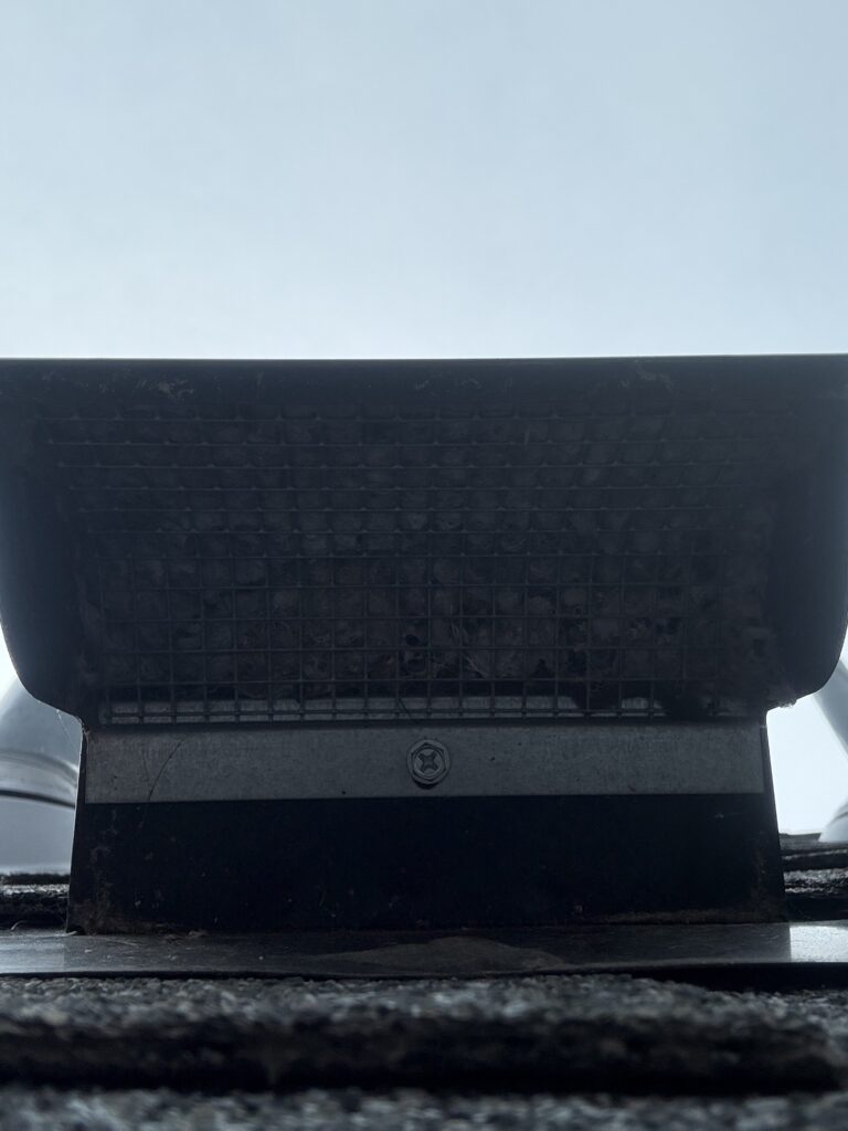Rooftop dryer vent exhaust with the screen left on it