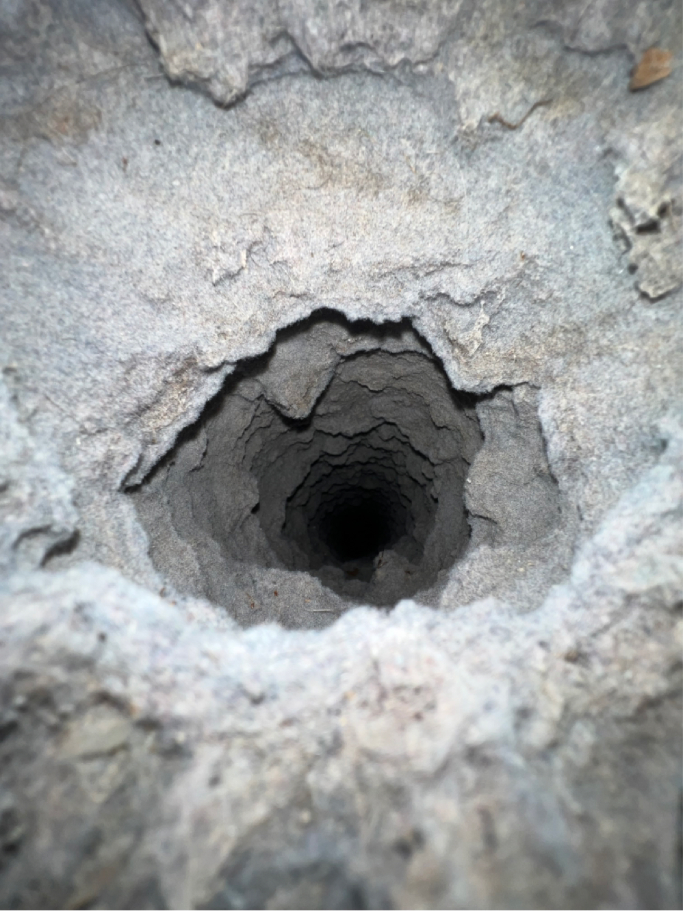 Dryer Vent Cleaning after Lino Lakes, Mn